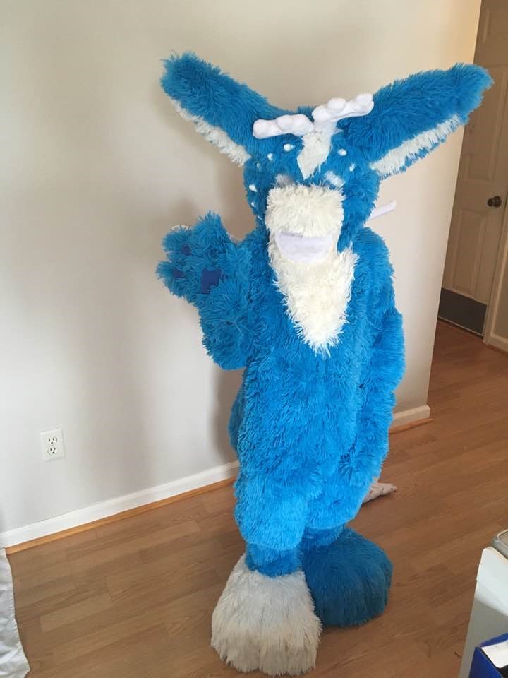 fursuit snowflurry 2020