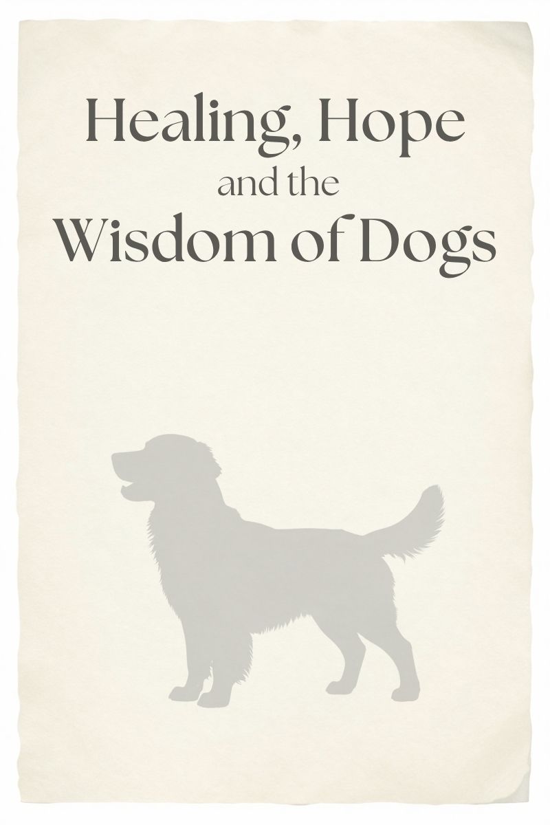 wisdom of dogs 