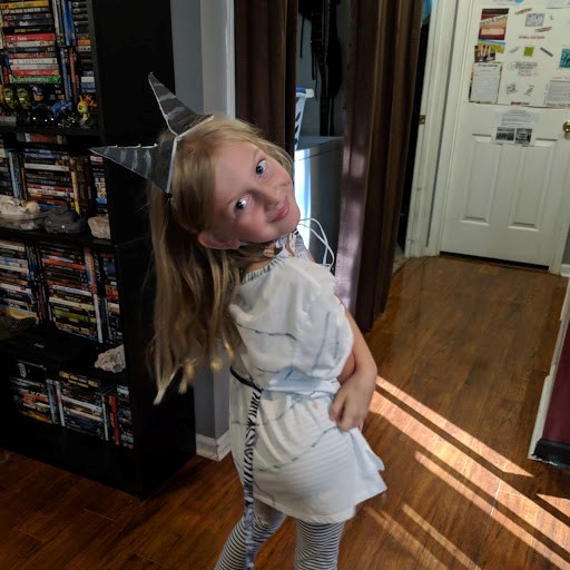 first cosplay Zebra